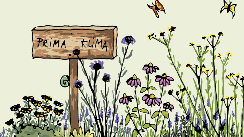 Ein neuer Flyer der Stadtverwaltung, der in Zusammenarbeit mit Lokaler Agenda, NABU und BUND und entstanden ist, gibt nützliche Tipps zum Klimaschutz